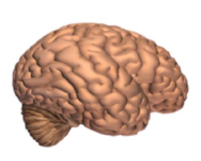 efeitos-do-alzheimer-cerebro