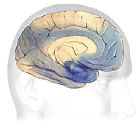 efeitos-do-alzheimer-no-cerebro